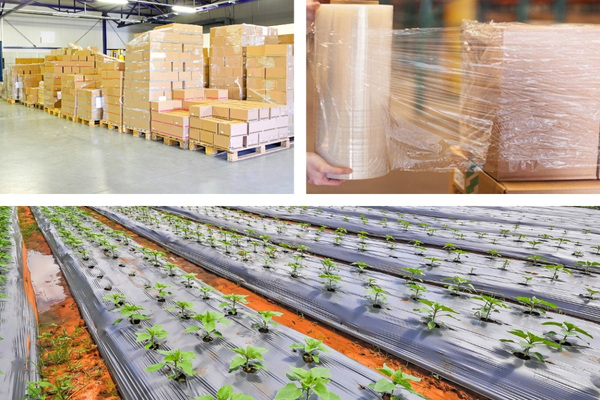 Màng PE có thể đáp ứng yêu cầu sử dụng trong nhiều lĩnh vực khác nhau