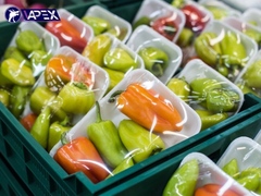 Bao bì PE là gì? Phân loại bao bì nhựa PE và các ứng dụng 